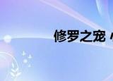 修罗之宠 小说（修罗之宠）