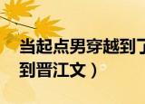 当起点男穿越到了晋江文 小说（当起点男穿到晋江文）