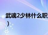武魂2少林什么职业好（武魂少林选什么血统）
