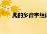 爬的多音字组词（爪的多音字组词）