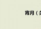 宵月（关于宵月介绍）
