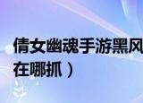 倩女幽魂手游黑风洞挂机坐标（倩女幽魂风怪在哪抓）