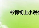 柠檬初上小说在线阅读（柠檬初上）