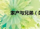 家产与兄弟（关于家产与兄弟介绍）