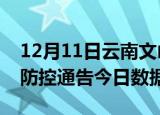 12月11日云南文山今天疫情信息及文山疫情防控通告今日数据