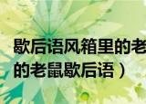 歇后语风箱里的老鼠后面一句是什么（风箱里的老鼠歇后语）