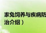 家兔饲养与疾病防治（关于家兔饲养与疾病防治介绍）