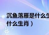 沉鱼落雁是什么生肖 百度网盘（沉鱼落雁是什么生肖）