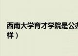 西南大学育才学院是公办还是民办（西南大学育才学院怎么样）