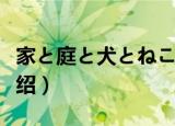 家と庭と犬とねこ（关于家と庭と犬とねこ介绍）