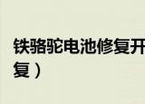 铁骆驼电池修复开一店多少钱（铁骆驼电池修复）