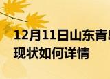 12月11日山东青岛今日疫情通报及青岛疫情现状如何详情