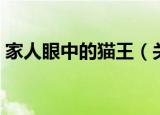 家人眼中的猫王（关于家人眼中的猫王介绍）