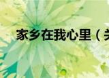 家乡在我心里（关于家乡在我心里介绍）