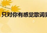 只对你有感觉歌词男女（只对你有感觉歌词）