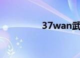 37wan武尊（37玩武尊）
