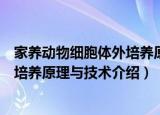 家养动物细胞体外培养原理与技术（关于家养动物细胞体外培养原理与技术介绍）