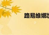 路易维娜加盟（路易维娜）