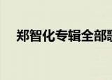 郑智化专辑全部歌曲歌词（郑智化专辑）