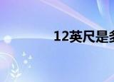 12英尺是多少尺（12英尺）
