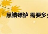 黑鳞镖鲈 需要多少钓鱼技能（黑鳞镖鲈）