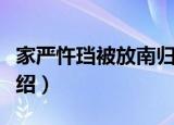 家严忤珰被放南归（关于家严忤珰被放南归介绍）