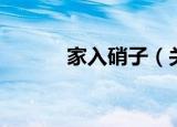 家入硝子（关于家入硝子介绍）