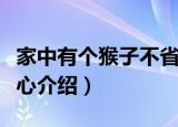 家中有个猴子不省心（关于家中有个猴子不省心介绍）
