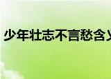 少年壮志不言愁含义（少年壮志不言愁意思）