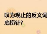 叹为观止的反义词怎么是叹为观止的反义词海底捞针?