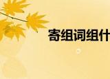 寄组词组什么词（寄组词组）