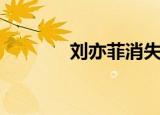 刘亦菲消失了（刘亦菲死了）
