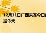 12月11日广西来宾今日疫情最新报告及来宾疫情最新实时数据今天