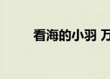 看海的小羽 万平口（看海的小羽）