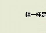精一杯是什么（精一杯）