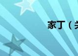 家丁（关于家丁介绍）