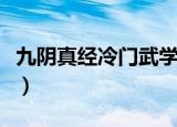 九阴真经冷门武学（九阴真经无门派寒冰真气）