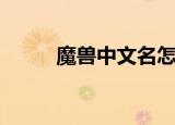 魔兽中文名怎么打（魔兽中文名）