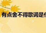 有点舍不得歌词是什么歌（有点舍不得歌词）