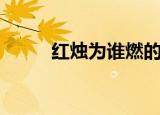 红烛为谁燃的说说（红烛为谁燃）