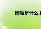 婚姻是什么,好累（婚姻是什么）