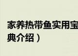 家养热带鱼实用宝典（关于家养热带鱼实用宝典介绍）