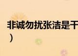 非诚勿扰张洁是干什么工作的（非诚勿扰张洁）