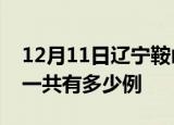 12月11日辽宁鞍山疫情最新通报及鞍山疫情一共有多少例