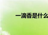 一滴香是什么酒（一滴香是什么）