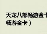 天龙八部畅游金卡和2888哪个好（天龙八部畅游金卡）