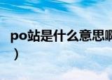 po站是什么意思啊（男生说的P站是什么意思）