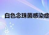 白色念珠菌感染症状女（白色念珠菌感染）