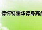 德怀特霍华德身高多少（德怀特霍华德身高）