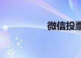 微信投票深度极速投票